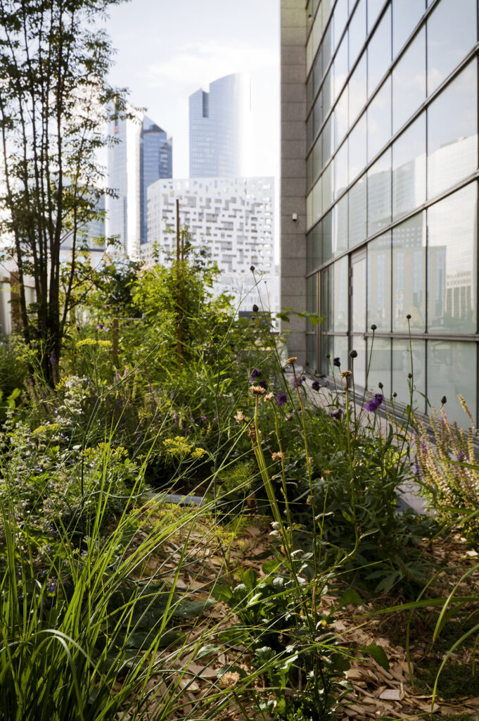 Nature urbaine